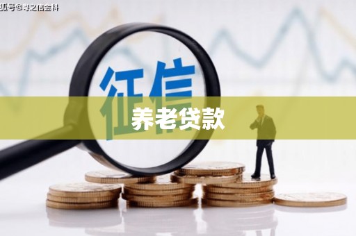 西陵养老贷款