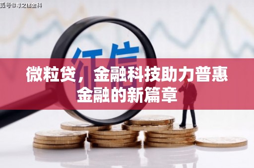 高要微粒贷，金融科技助力普惠金融的新篇章