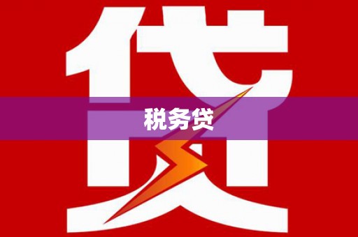 和美税务贷