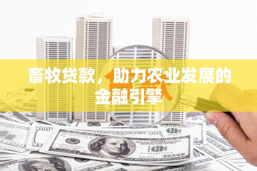 会理畜牧贷款，助力农业发展的金融引擎