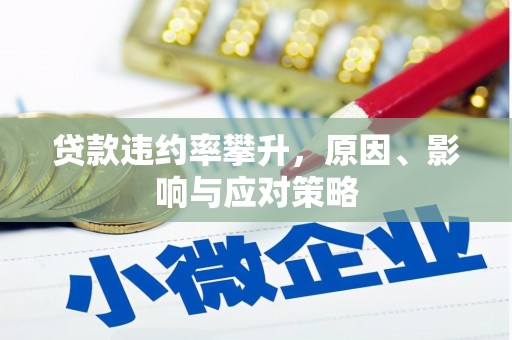 邵阳县贷款违约率攀升，原因、影响与应对策略