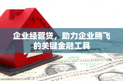 宁城企业经营贷，助力企业腾飞的关键金融工具