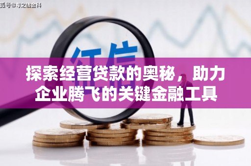 保税港区探索经营贷款的奥秘，助力企业腾飞的关键金融工具