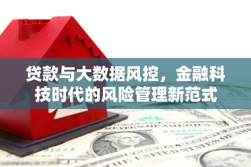 南山贷款与大数据风控，金融科技时代的风险管理新范式