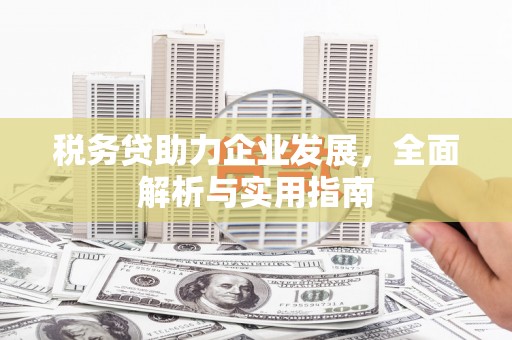 龙口税务贷助力企业发展，全面解析与实用指南