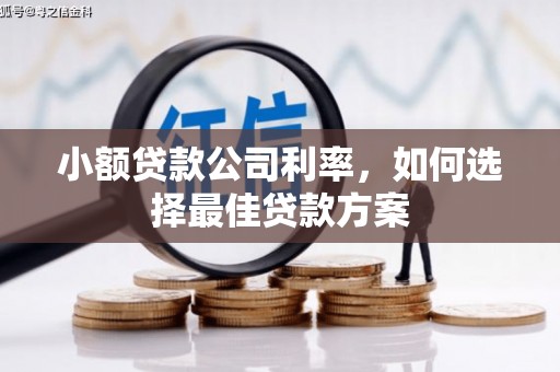 冬山小额贷款公司利率，如何选择最佳贷款方案
