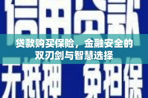 阜平贷款购买保险，金融安全的双刃剑与智慧选择