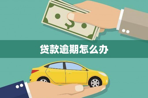 士林贷款逾期怎么办