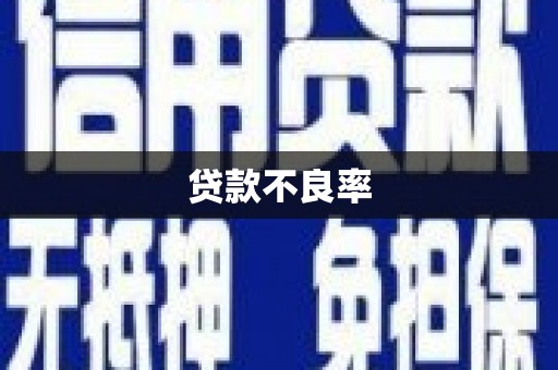 临湘贷款不良率