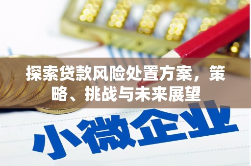 务川探索贷款风险处置方案，策略、挑战与未来展望