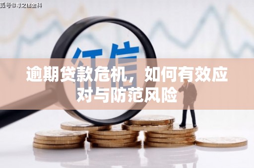 崇明逾期贷款危机，如何有效应对与防范风险