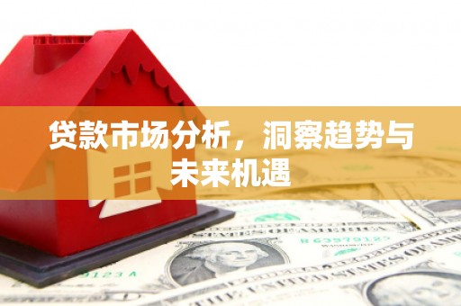 文成贷款市场分析，洞察趋势与未来机遇