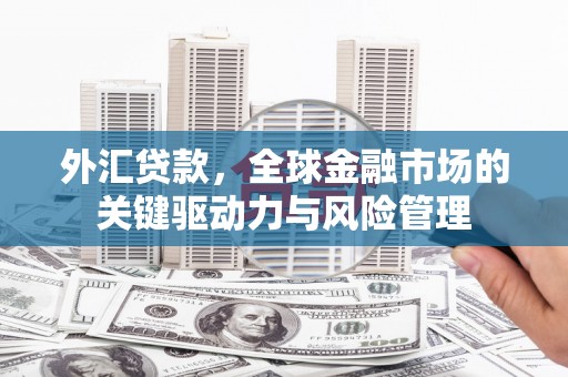 阜城外汇贷款，全球金融市场的关键驱动力与风险管理