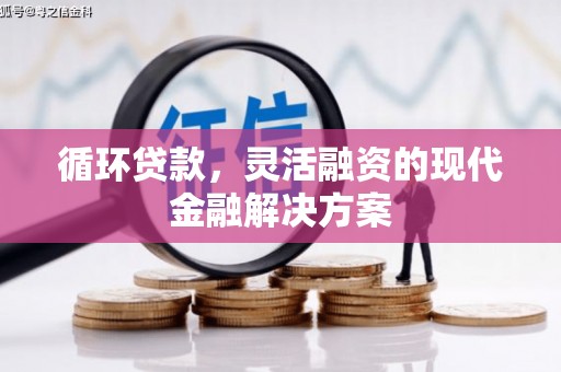 赵县循环贷款，灵活融资的现代金融解决方案
