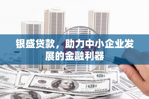 普兰店银盛贷款，助力中小企业发展的金融利器