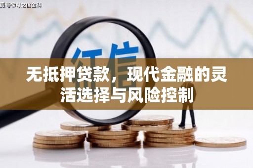 泾河无抵押贷款，现代金融的灵活选择与风险控制