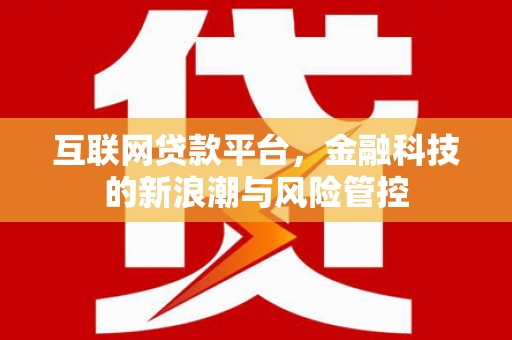 新林互联网贷款平台，金融科技的新浪潮与风险管控