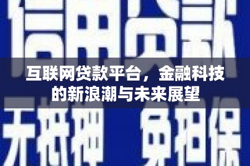 丰顺互联网贷款平台，金融科技的新浪潮与未来展望