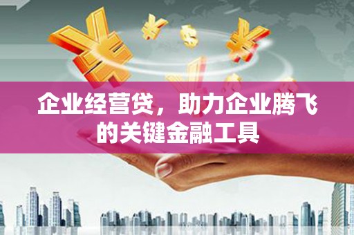 保康企业经营贷，助力企业腾飞的关键金融工具