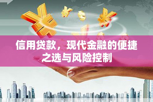 嘉黎信用贷款，现代金融的便捷之选与风险控制