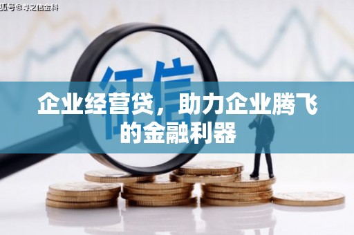 贵州企业经营贷，助力企业腾飞的金融利器
