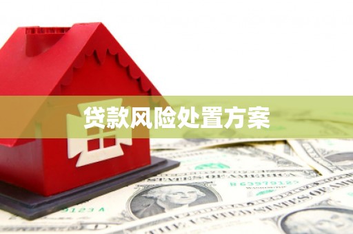 南充贷款风险处置方案