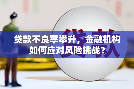 青阳贷款不良率攀升，金融机构如何应对风险挑战？