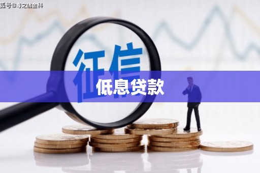 盈江低息贷款