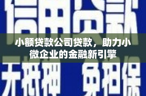 龙陵小额贷款公司贷款，助力小微企业的金融新引擎