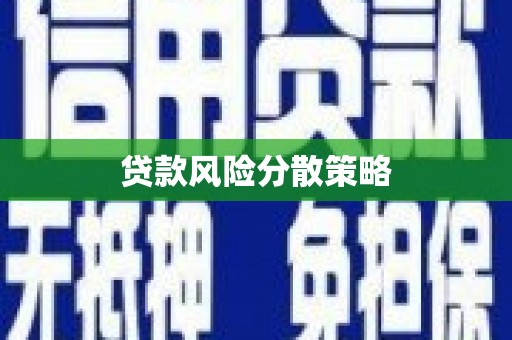 徐闻贷款风险分散策略