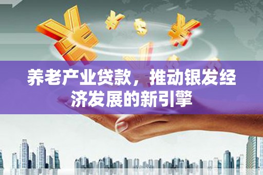 新埤养老产业贷款，推动银发经济发展的新引擎