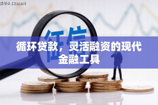 安乡循环贷款，灵活融资的现代金融工具