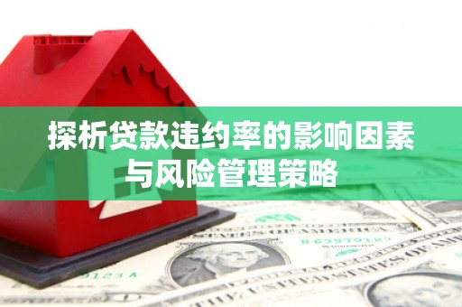 泰来探析贷款违约率的影响因素与风险管理策略
