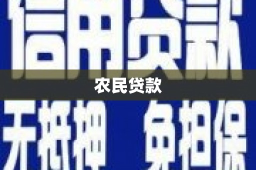贵州农民贷款