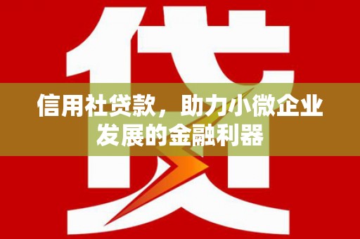 曲麻莱信用社贷款，助力小微企业发展的金融利器