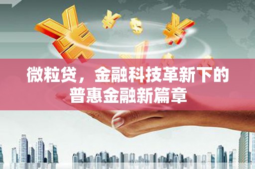丽水微粒贷，金融科技革新下的普惠金融新篇章
