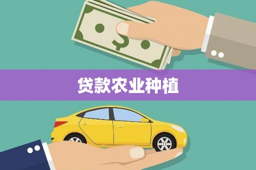 磐石贷款农业种植