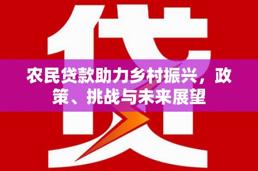 泰来农民贷款助力乡村振兴，政策、挑战与未来展望