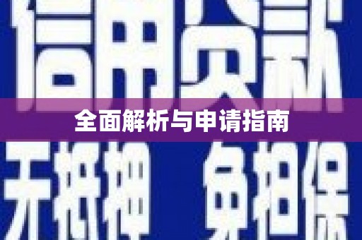 启东全面解析与申请指南