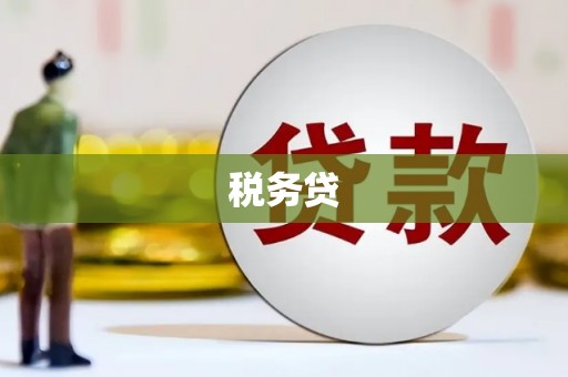 富平税务贷