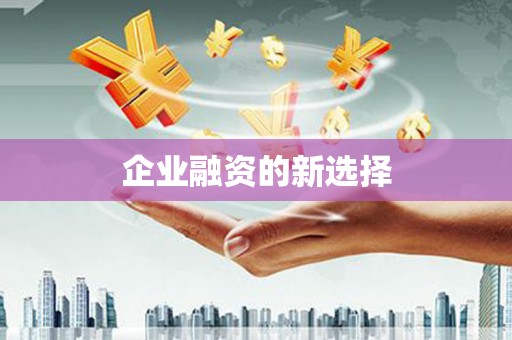 龙游企业融资的新选择