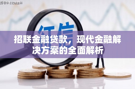 马山招联金融贷款，现代金融解决方案的全面解析