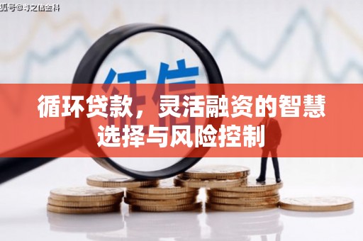阿巴嘎旗循环贷款，灵活融资的智慧选择与风险控制