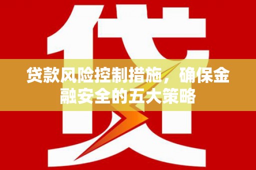 安南贷款风险控制措施，确保金融安全的五大策略