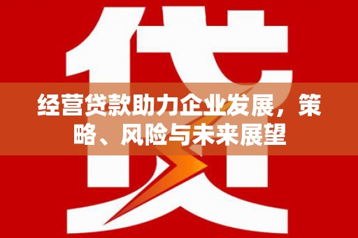 大里经营贷款助力企业发展，策略、风险与未来展望