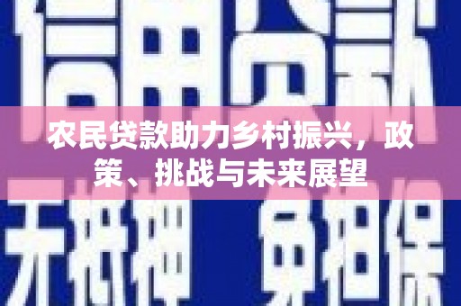 陇南农民贷款助力乡村振兴，政策、挑战与未来展望
