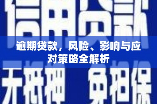 陵水逾期贷款，风险、影响与应对策略全解析