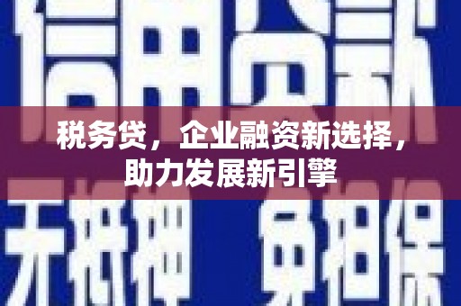 朴子税务贷，企业融资新选择，助力发展新引擎