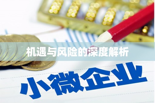 额济纳旗机遇与风险的深度解析