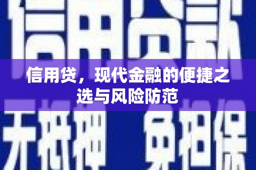 罗山信用贷，现代金融的便捷之选与风险防范